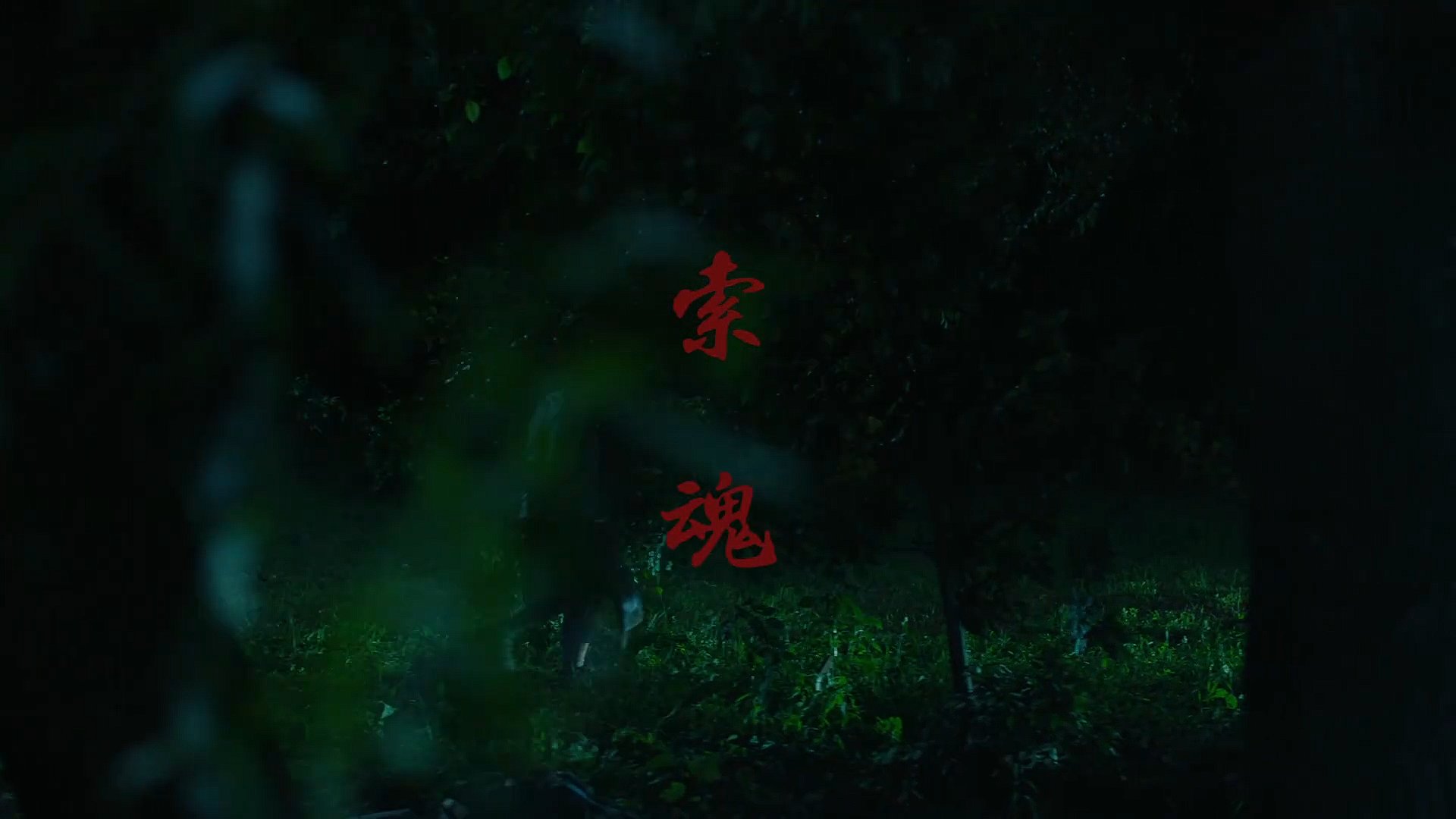 索魂 · 实拍作品封面